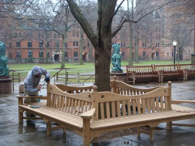 Collegiate Gothic, plate 151, 2011