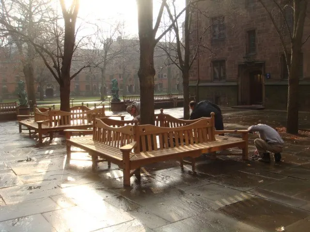 Collegiate Gothic, plate 153, 2011